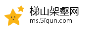 梯山架壑网